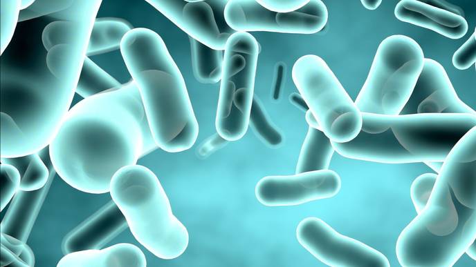 ReachMD Healthcare Image