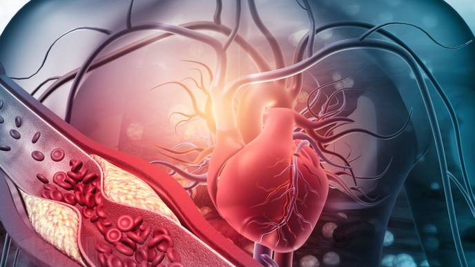 ReachMD Healthcare Image