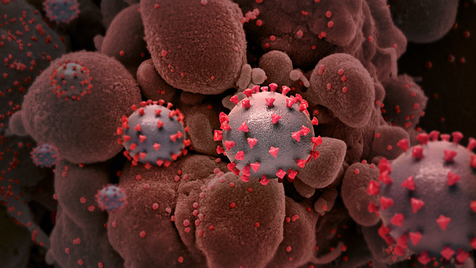 ReachMD Healthcare Image