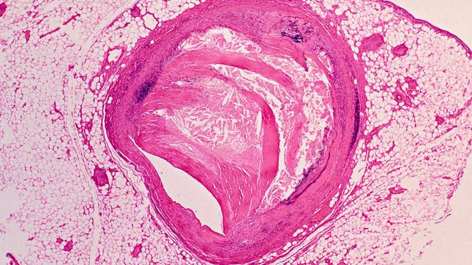 ReachMD Healthcare Image