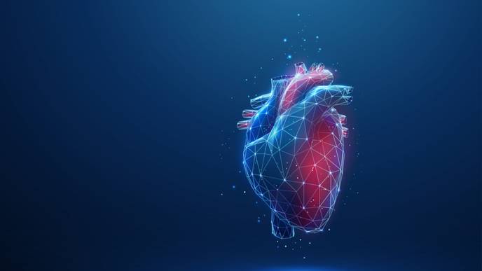 ReachMD Healthcare Image