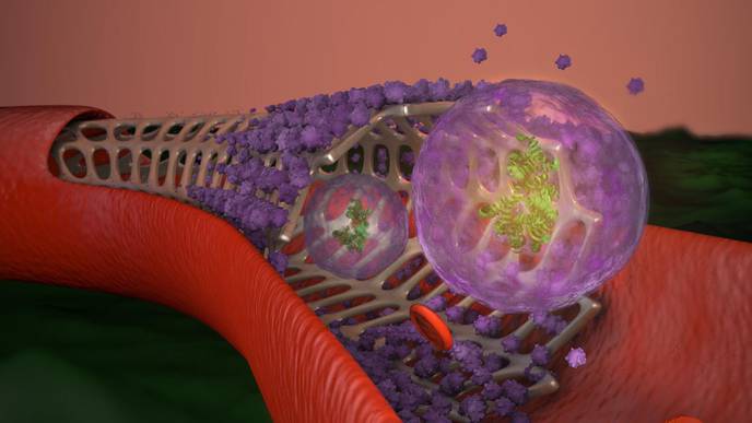 Reopen & Regenerate: Exosome-Coated Stent Heals Vascular Injury, Repairs Damaged Tissue