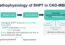 Downloadable Slides
