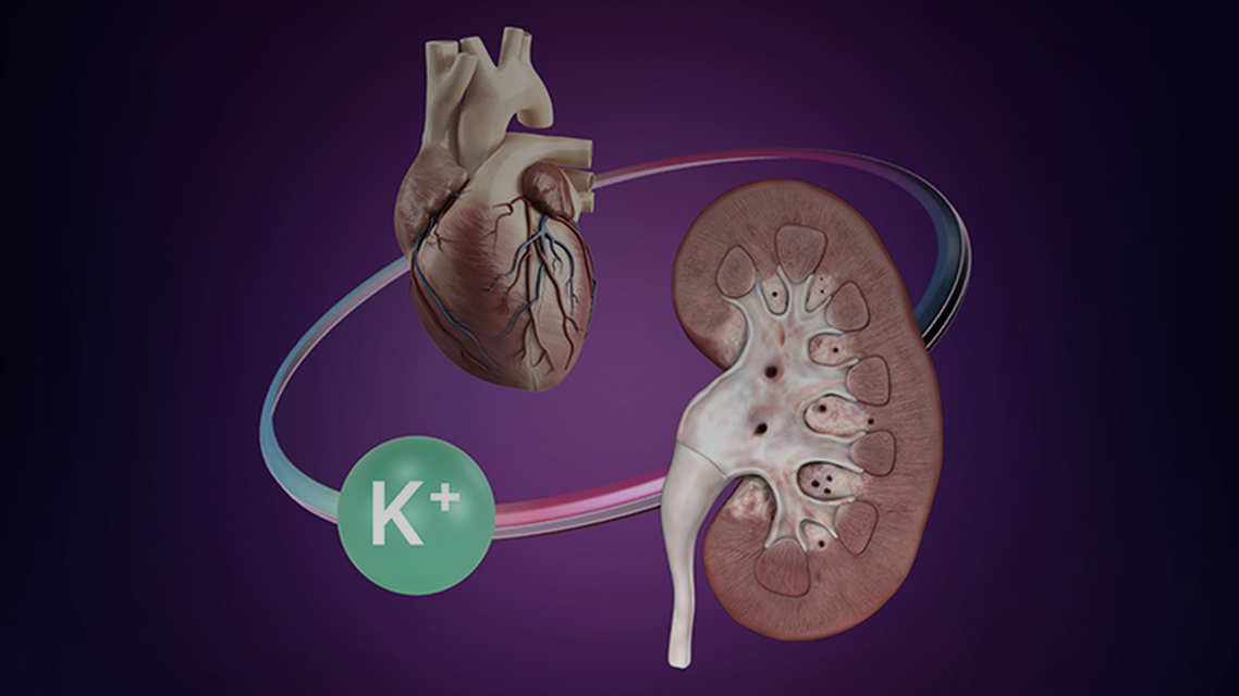 ReachMD Healthcare Image