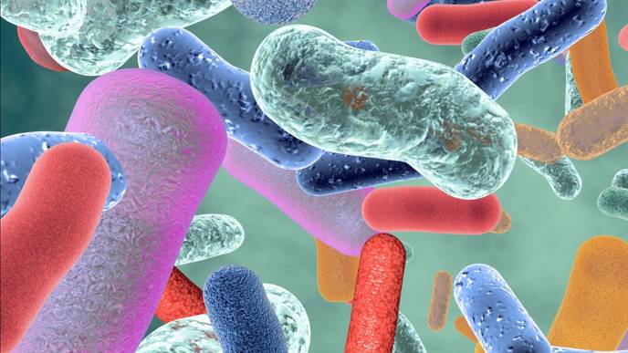 ReachMD Healthcare Image