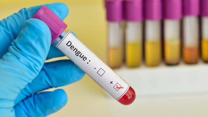 ReachMD Healthcare Image