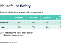 Downloadable Slides