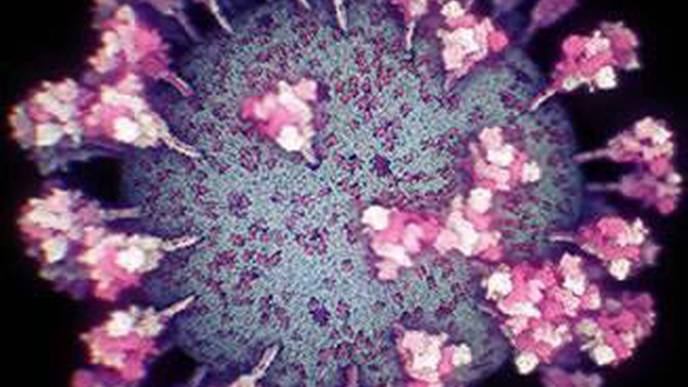 ReachMD Healthcare Image