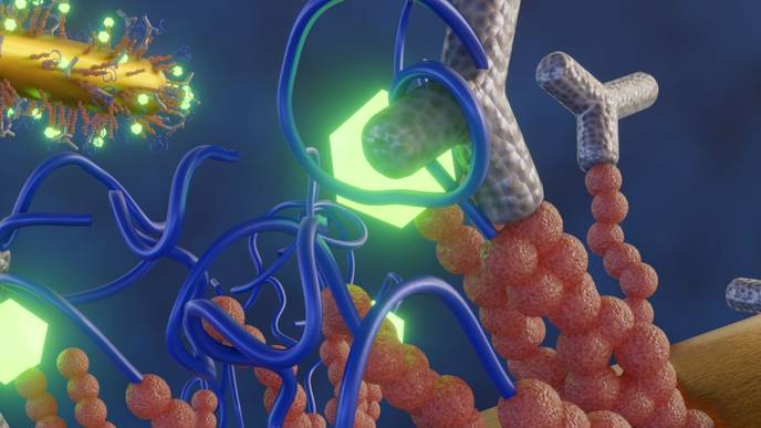 ReachMD Healthcare Image