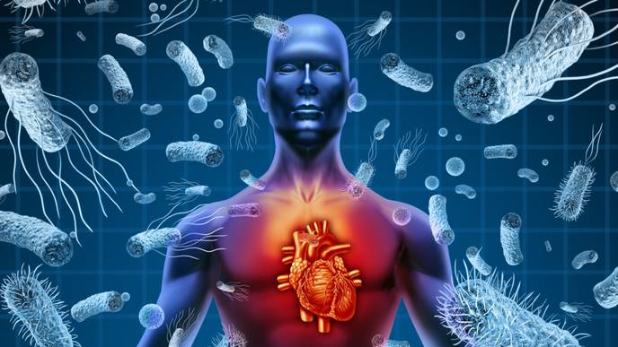 ReachMD Healthcare Image