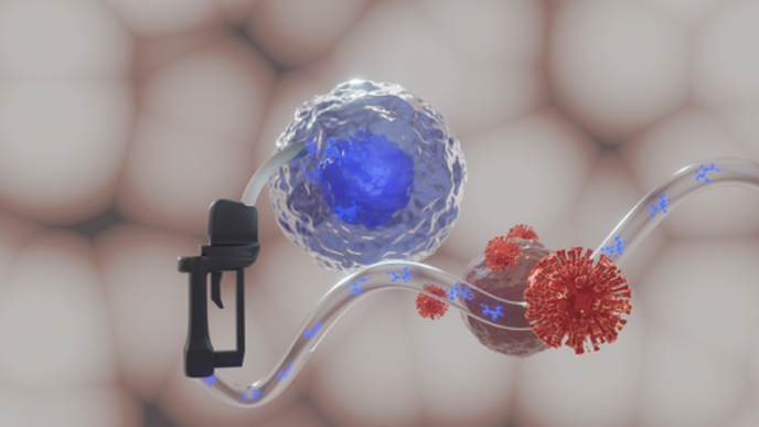 ReachMD Healthcare Image