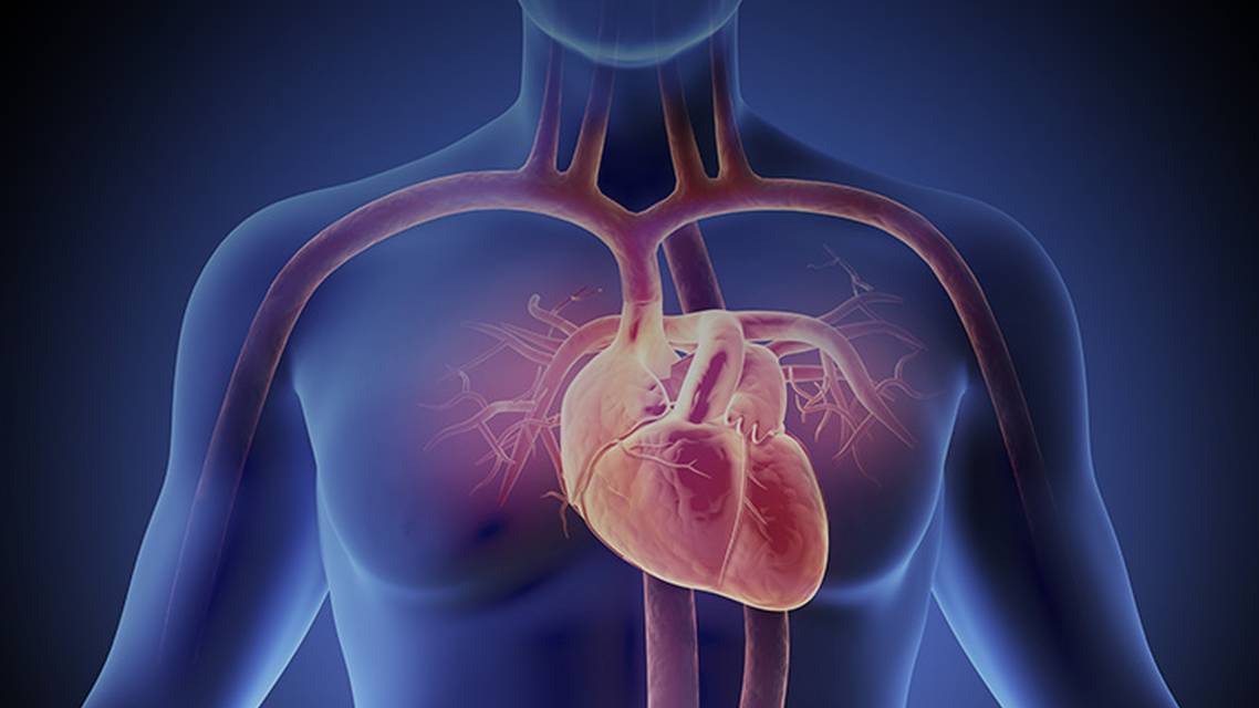 ReachMD Healthcare Image