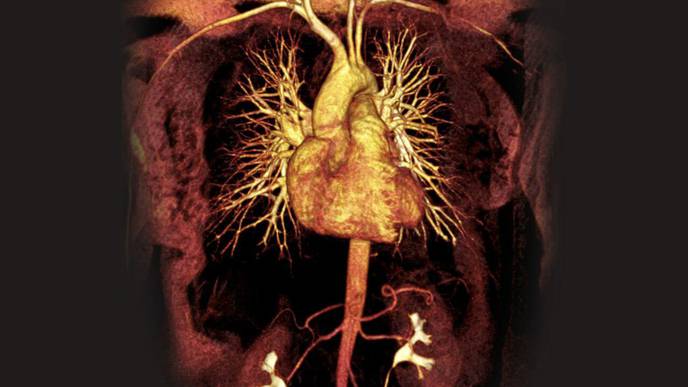 ReachMD Healthcare Image