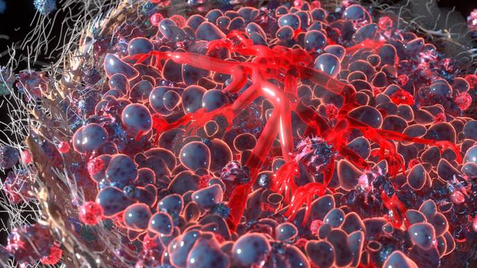 ReachMD Healthcare Image