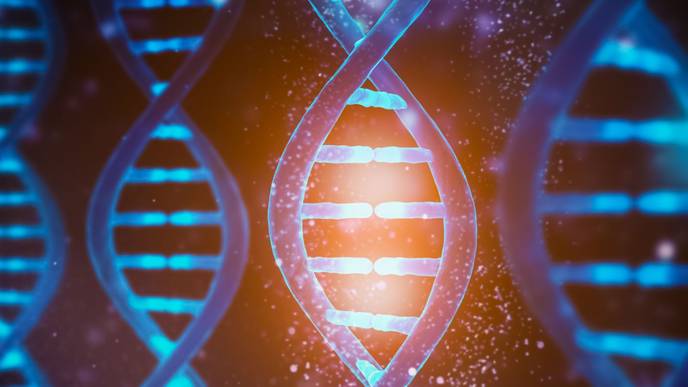 ReachMD Healthcare Image