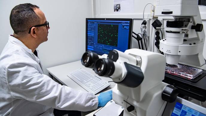 Study Provides New Insight into the Genetics of Coronary Artery Disease