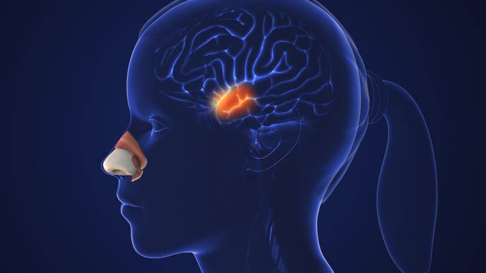 ReachMD Healthcare Image