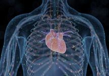 Improving Symptoms in Patients with HFrEF Using Novel Device Therapy