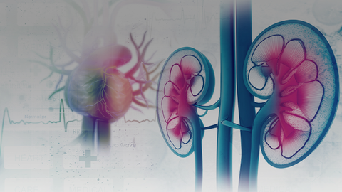Hyperkalemia: Is It Still a Challenge in 2023?