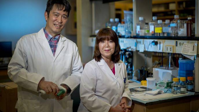 Copper Transporter Potential New Treatment Target for CVD
