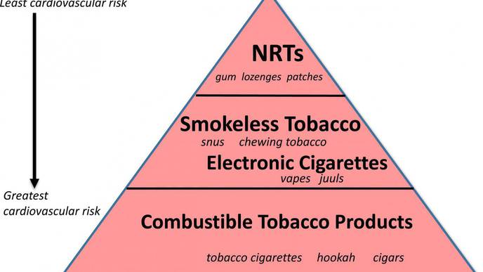 Look Before you Leap: Cardiologists Warn About the Risks of Vaping