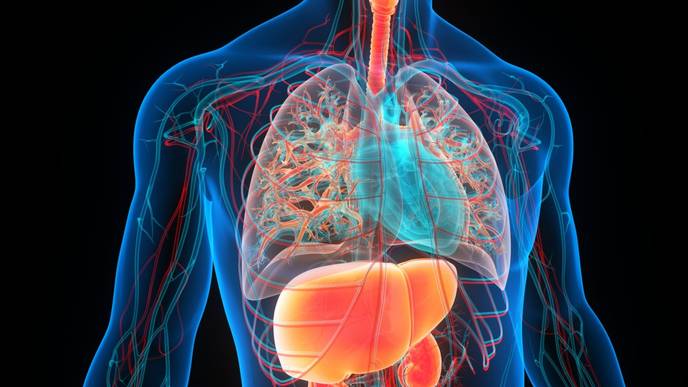 ReachMD Healthcare Image