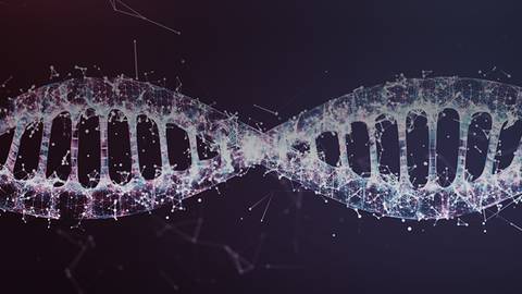 Epigenetics in the Environment: An Exploration of Genetics & Chronic Health Conditions