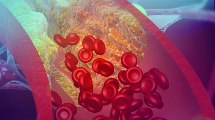 ReachMD Healthcare Image