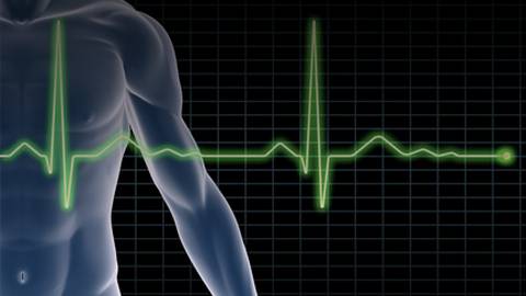 The 7 Key Health Metrics for Cardiovascular Health
