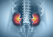 Breaking the Cycle: Addressing Hyperkalemia in CKD and Heart Failure to Optimize RAASi Therapy
