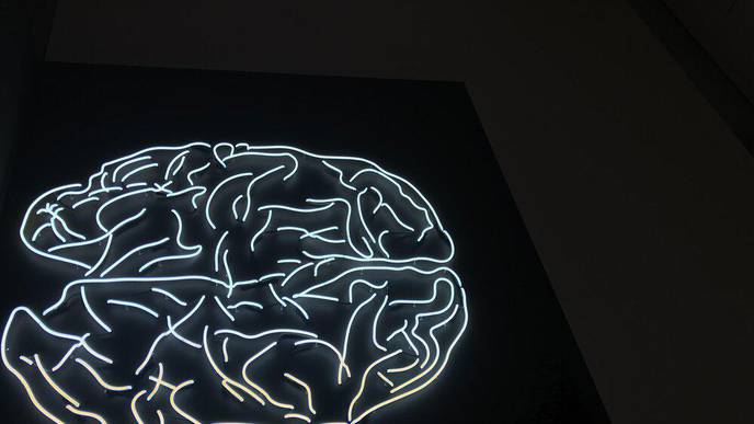 Higher Burden of Acute Brain Dysfunction for COVID-19 ICU Patients