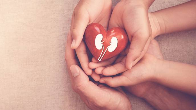 ReachMD Healthcare Image