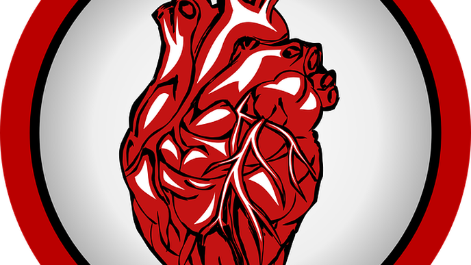 Stem Cell Study Illuminates the Cause of a Devastating Inherited Heart Disorder