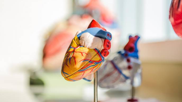 Aspirin Preferred to Prevent Blood Clots in Kids After Heart Surgery