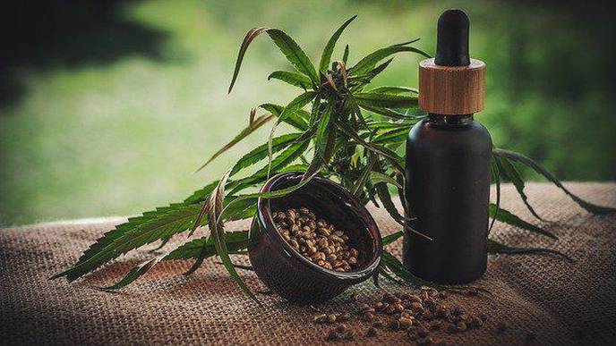 CBD for COVID-19: Marijuana Ingredient May Prevent Virus from Causing Lung Damage