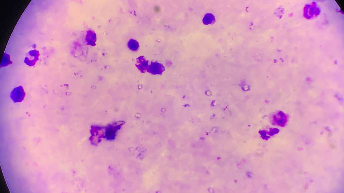 ReachMD Healthcare Image