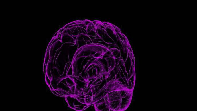 Mid-Life CVD Prevention May Protect Against Later Dementia