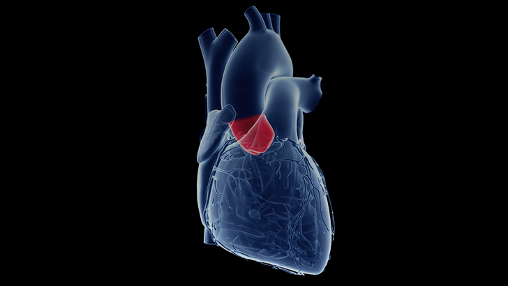 ReachMD Healthcare Image