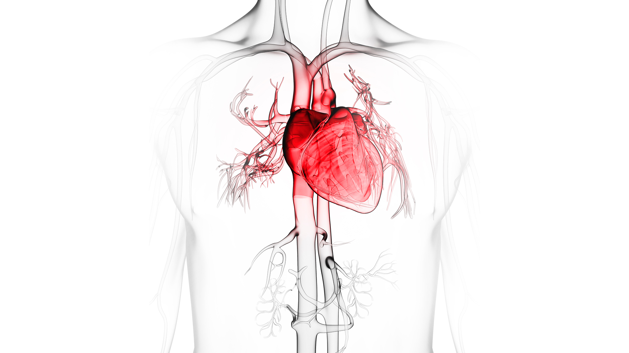 Cardiology CME | Free CME/CE for Cardiologists & Cardiology